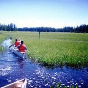 Moose Valley Provincial Park