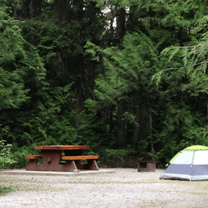 Mount Fernie Provincial Park