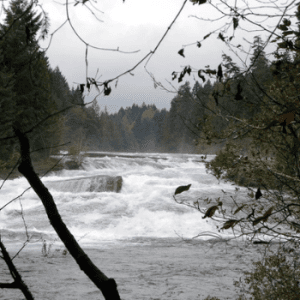 Nymph Falls Nature Park