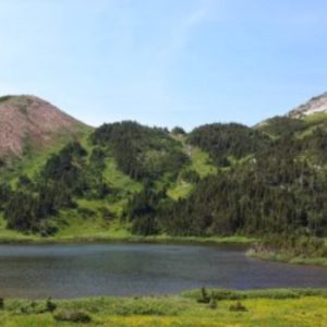 Pine Le Moray Provincial Park