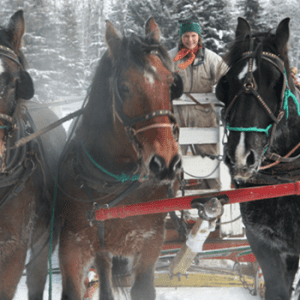 Red Lodge Guest Ranch & Ropes Course
