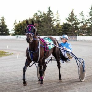 Red Shores Racetrack