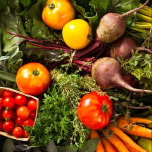 River Bell Organic Market Garden