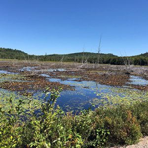 Sherriff Creek Wildlife Sanctuary