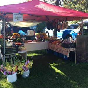 Sunday Mountain Market