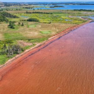 Tea Hill Provincial Park