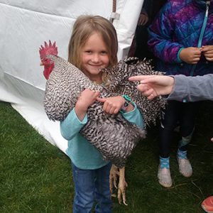 Wildcat Days Festival