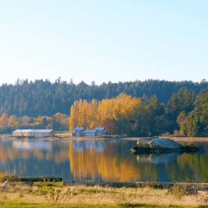Esquimalt Lagoon Migratory Bird Sanctuary