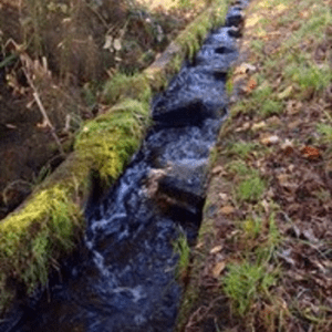 Heritage Fish Ladder