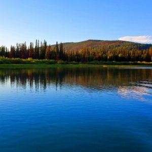 Cariboo River Provincial Park