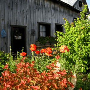 Les Jardins St-Maurice