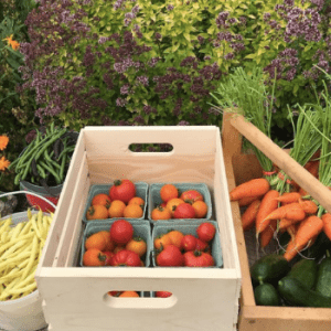 Little Acre Market Garden