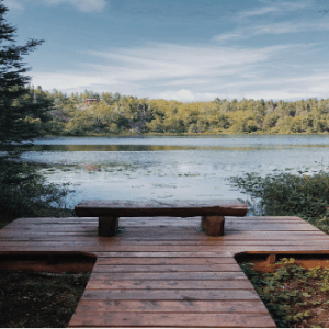 Boisé-de-la-Pointe-St-Gilles