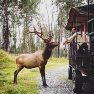 Cedar Meadows Wilderness Park