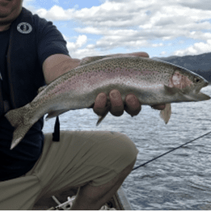 Columbia River Fishing