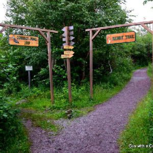 Corduroy Brook Nature Centre & Trail