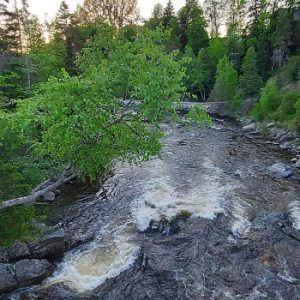 Corner Brook Stream Trail