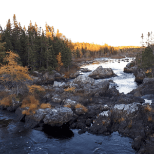 David Smallwood Park