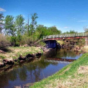 Dog hide River Trail