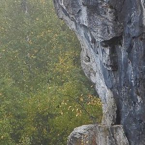 Duncan Escarpment Provincial Nature Reserve