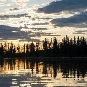 Elk Island National Park