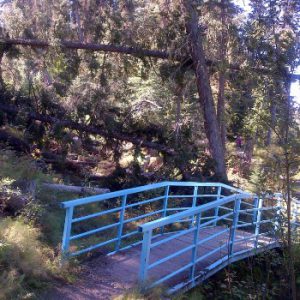 Fish Creek Community Forest