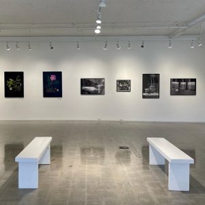 Gibson’s Public Art Gallery