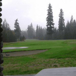 Gold River Golf & Country Club