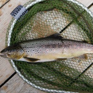 Hill’s Lake Fish Culture Station