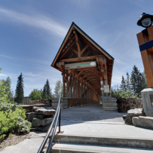 Kicking Horse Pedestrian Bridge