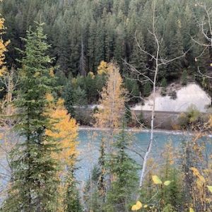 Kicking Horse River