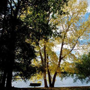 Kipabiskau Regional Park