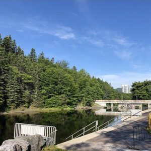 Margaret Bowater Park