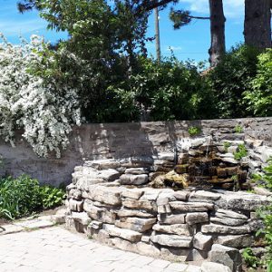 Old Seed House Gardens