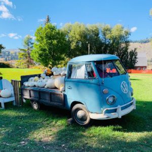 Pete Murray’s Corn Farm