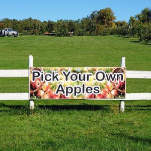 Pieter’s Appleyard