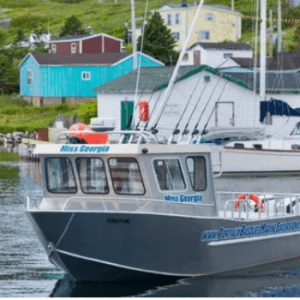Port aux Basques Marine Excursions