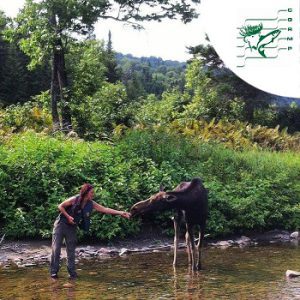 Reserve Faunique de Duniere