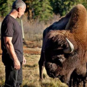 Rocky Mountain Buffalo Ranch