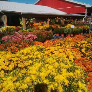 Rutherford’s Farm and Roadside Market