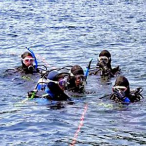 Scuba Diving and Shipwreck Exploration