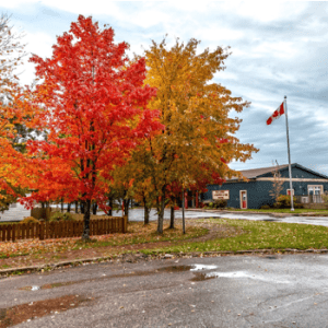 Smallwood Interpretation Centre & Kittiwake Coast Information Centre