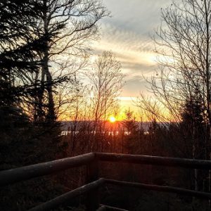 Thomas Howe Demonstration Forest