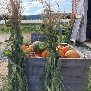 Wright’s Family Farm