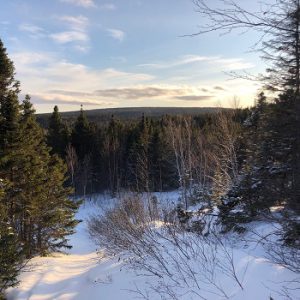 Gambo Cross Country Ski and Snowshoe Park