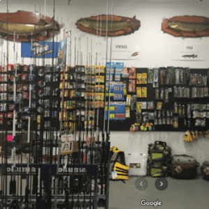 Fishy Fishy Bang Bang