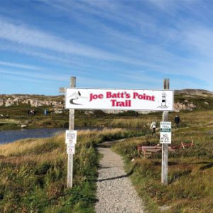 Joe Batt’s Point Trail