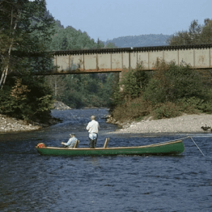 Reserve Faunique des Rivieres Matapedia et Patapedia