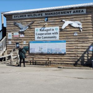 Aylmer Wildlife Management Area