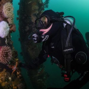 BC Dive Charters